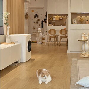 【PET MARVEL】 自動トイレ 自動猫トイレ Magic Cube 猫トイレ 全自動トイレ 猫用トイレ 大型 多頭飼い 本体 猫 ネコ ねこ キャット ペット トイレ 自動 スマホ管理 遠隔 自動 清掃 おすすめ システム お留守番 猫砂 飛散防止 ペットマーベル マジックキューブ