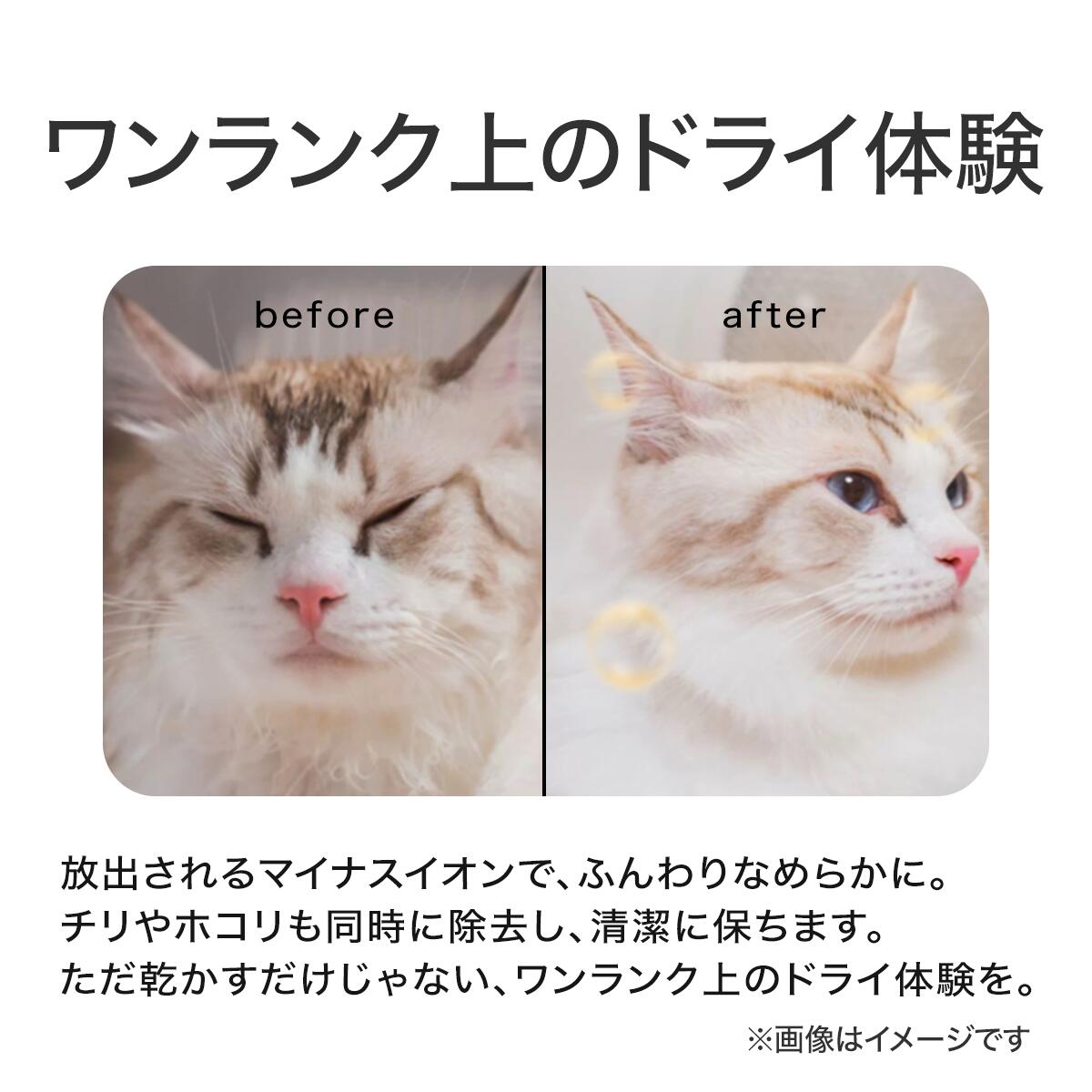 PET MARVEL ドライヤーハウス Natural Wind ドライルーム ドライボックス 犬 猫 乾燥 乾燥ボックス 温度調整 ペットドライヤー ドライヤールーム NFSDR11A Pet Marvel ペットマーベル