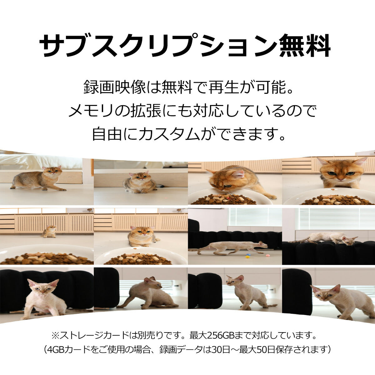 ＼10%オフ→14,220円／ [meoof] 自動給餌器 Swissroll カメラ付き 遠隔操作 猫 中小型犬 スマホ管理 暗視機能 SDカード センサー タイマー式 2WAY 給電 電池 IOS Android対応 日本語対応 安心保証１年
