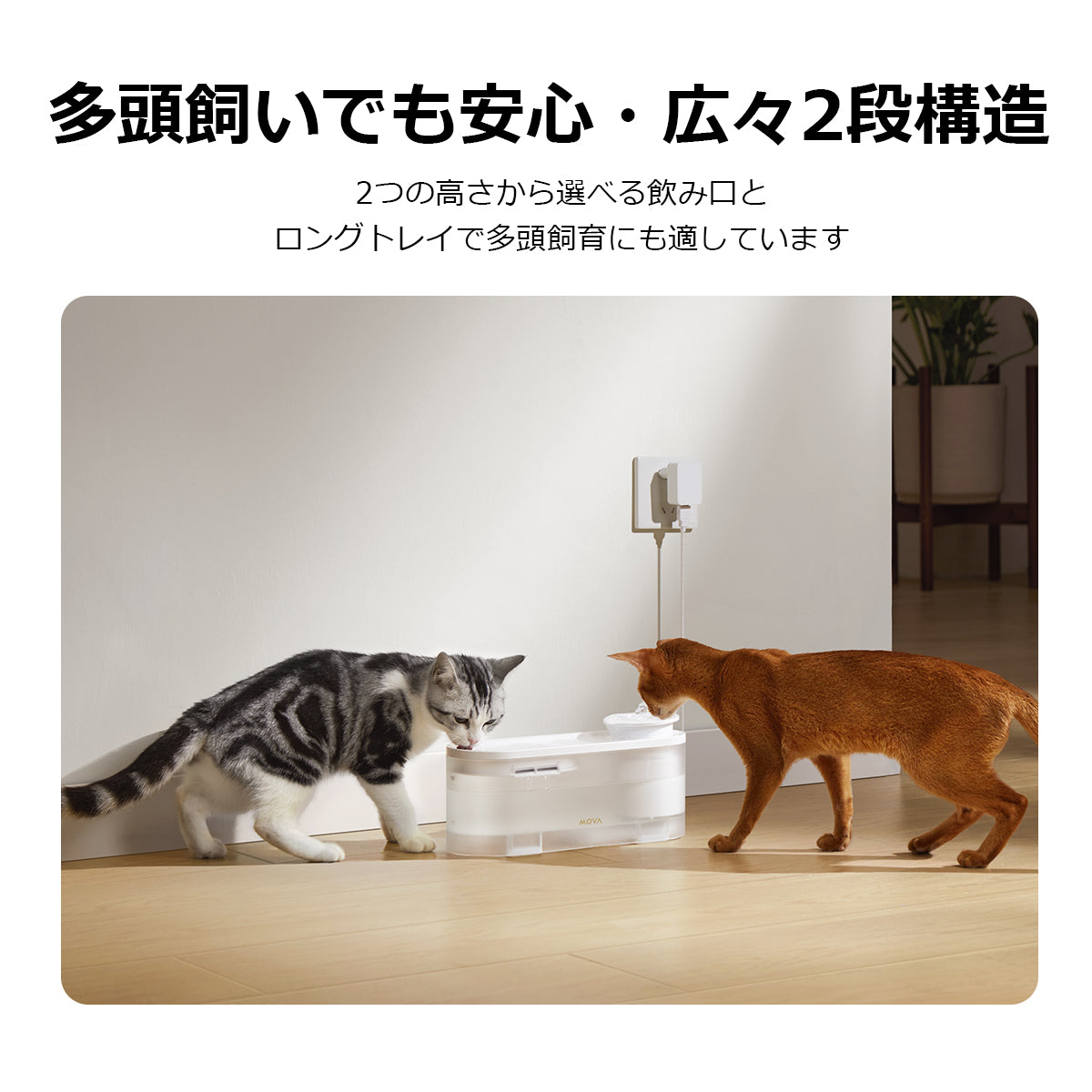 [ MOVA ] 自動給水器 WF10 ペット 給水器 犬 猫 多頭飼い 水飲み 水飲み器 給水 静音 濾過 自動 ムーバ