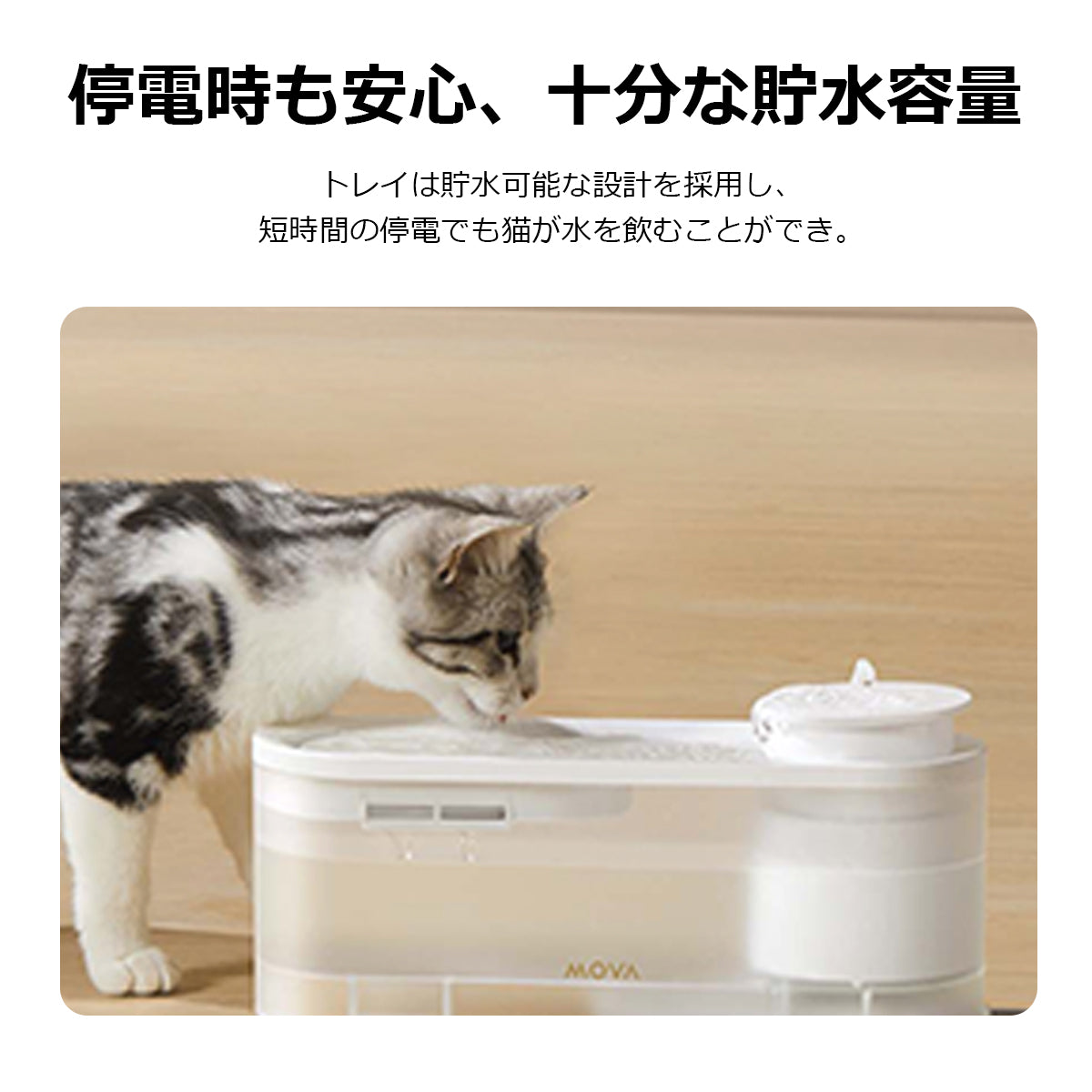 [ MOVA ] 自動給水器 WF10 ペット 給水器 犬 猫 多頭飼い 水飲み 水飲み器 給水 静音 濾過 自動 ムーバ